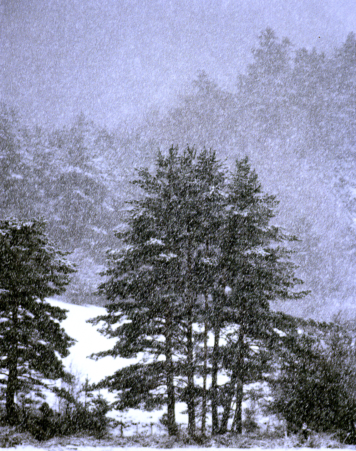 belabarzenevavando4-copia